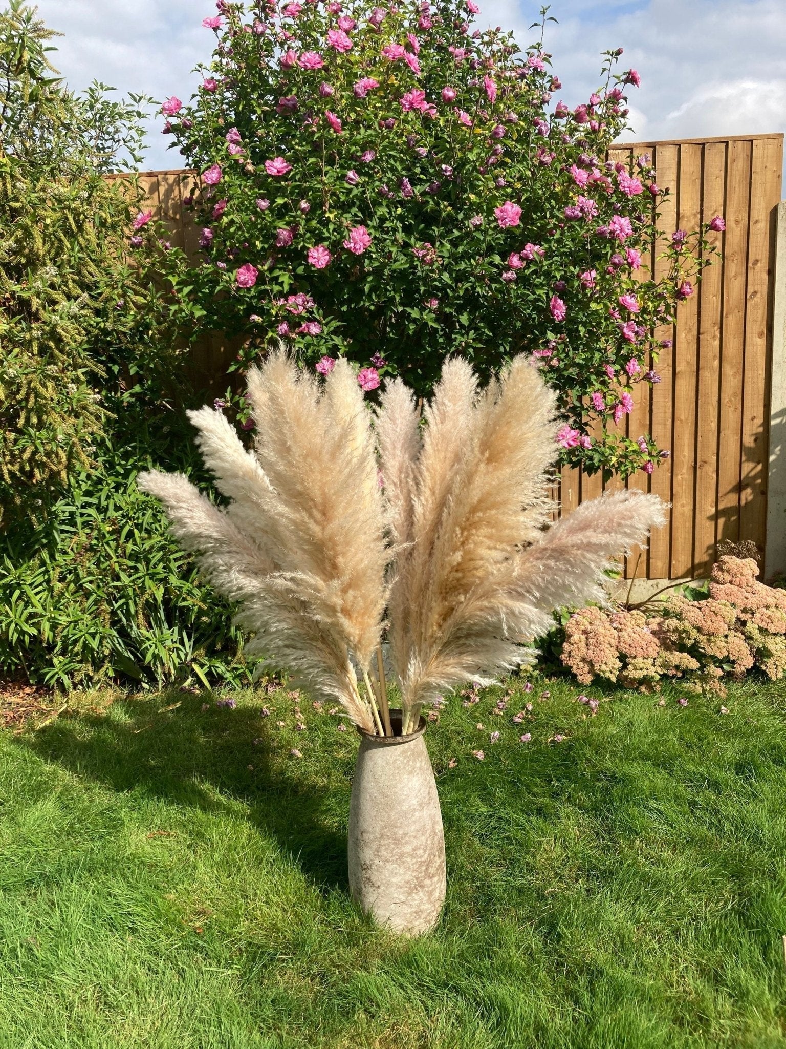 3 - Piece Artificial Pampas Grass Set Primrue Flowers/Leaves Color: White