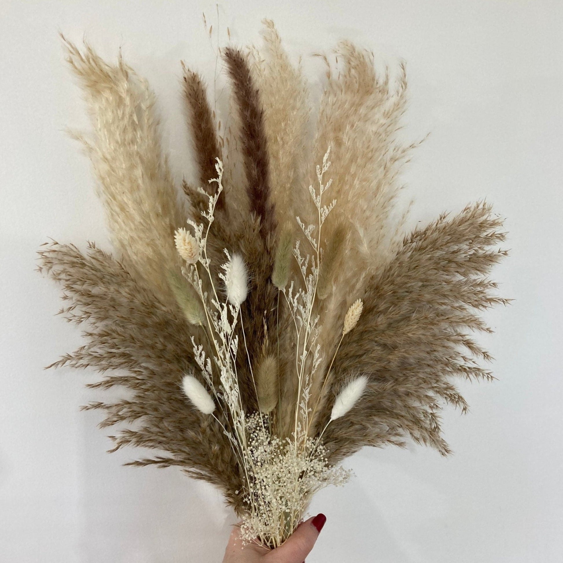 Natural Pampas Grass and Dried Flower bouquet - 60cm - Norfolk Pampas