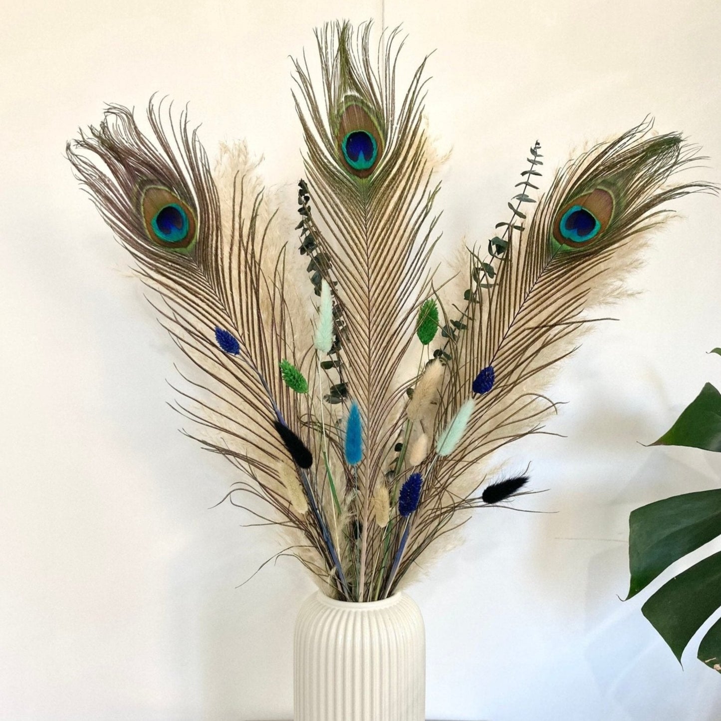 Pampas bouquet with Peacock feathers - 60cm - Norfolk Pampas