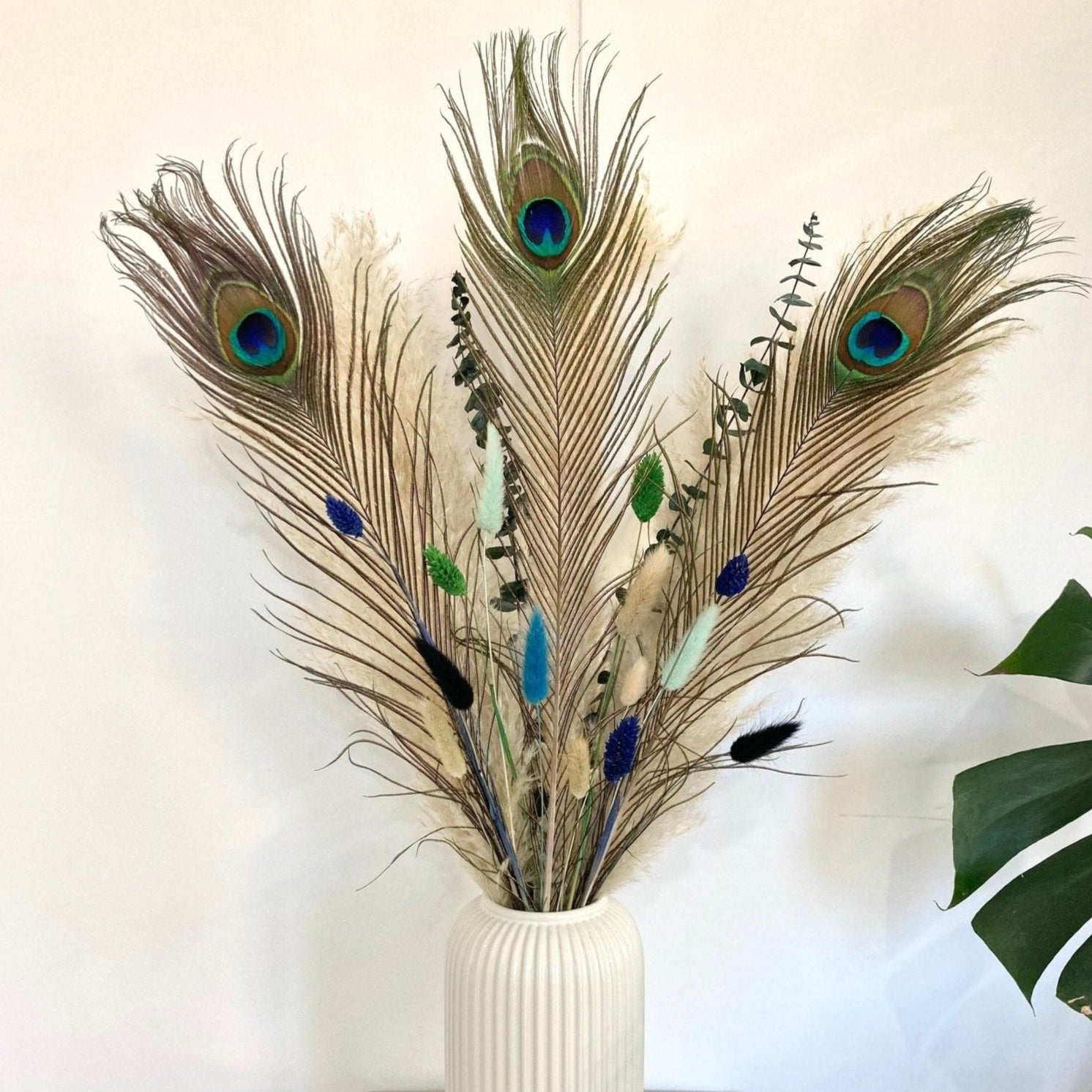 Pampas bouquet with Peacock feathers - 60cm - Norfolk Pampas