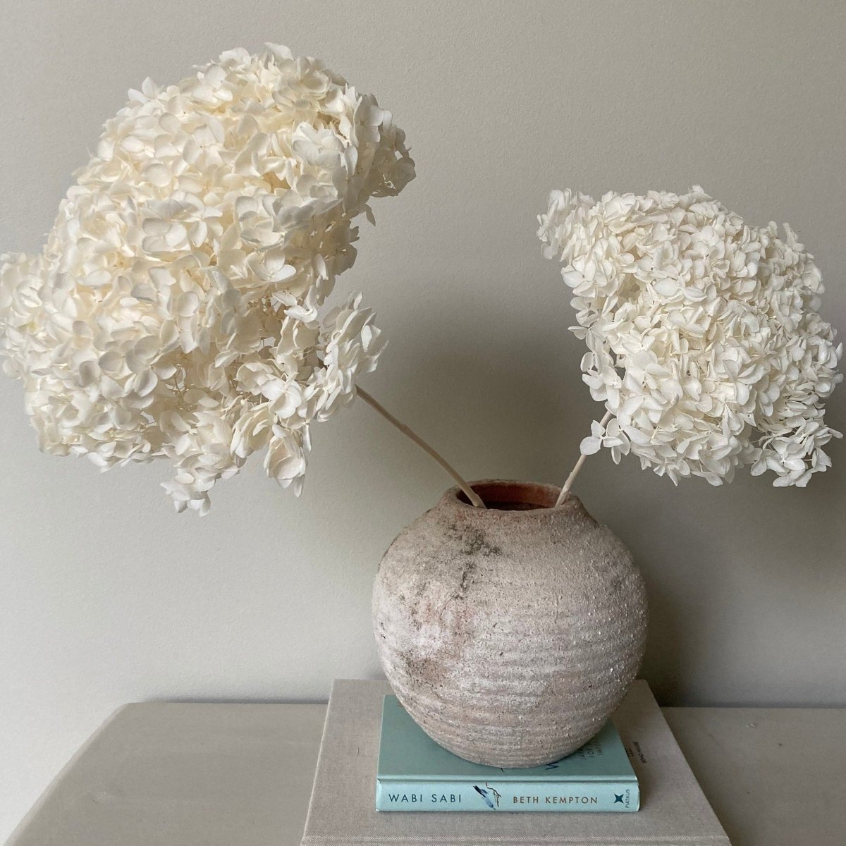 Preserved White Hydrangea - 45cm - Norfolk Pampas